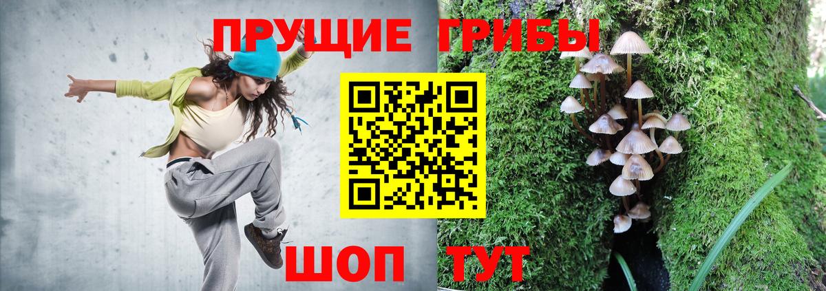 Псилоцибиновые грибы GOLDEN TEACHER Курчалой