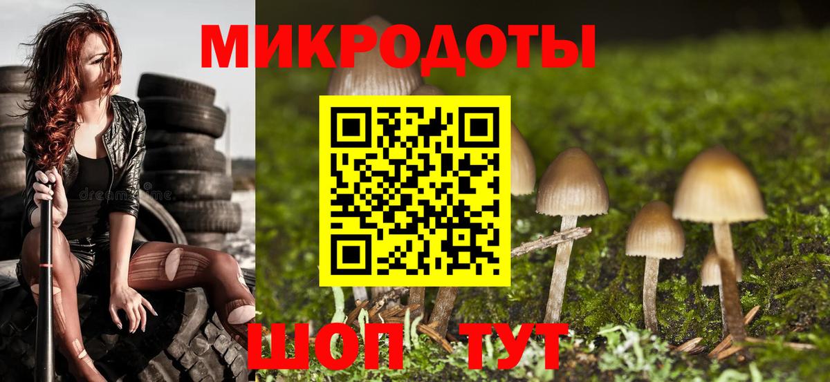 Галлюциногенные грибы Magic Shrooms  Вход с VPN  Курчалой  Галлюциногенные грибы мицелий 