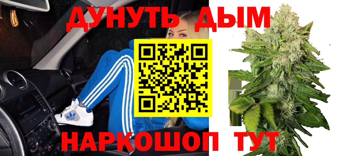 Курчалой  Каннабис семена  МАРИХУАНА гибрид  Вход с VPN  МАРИХУАНА марихуана 